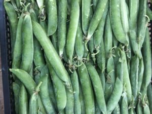 Pèsols