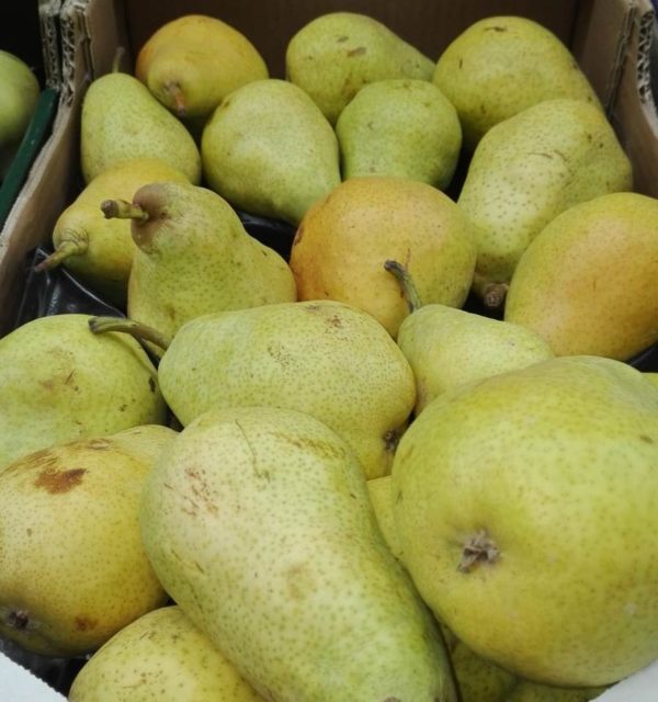 Pera llimonera